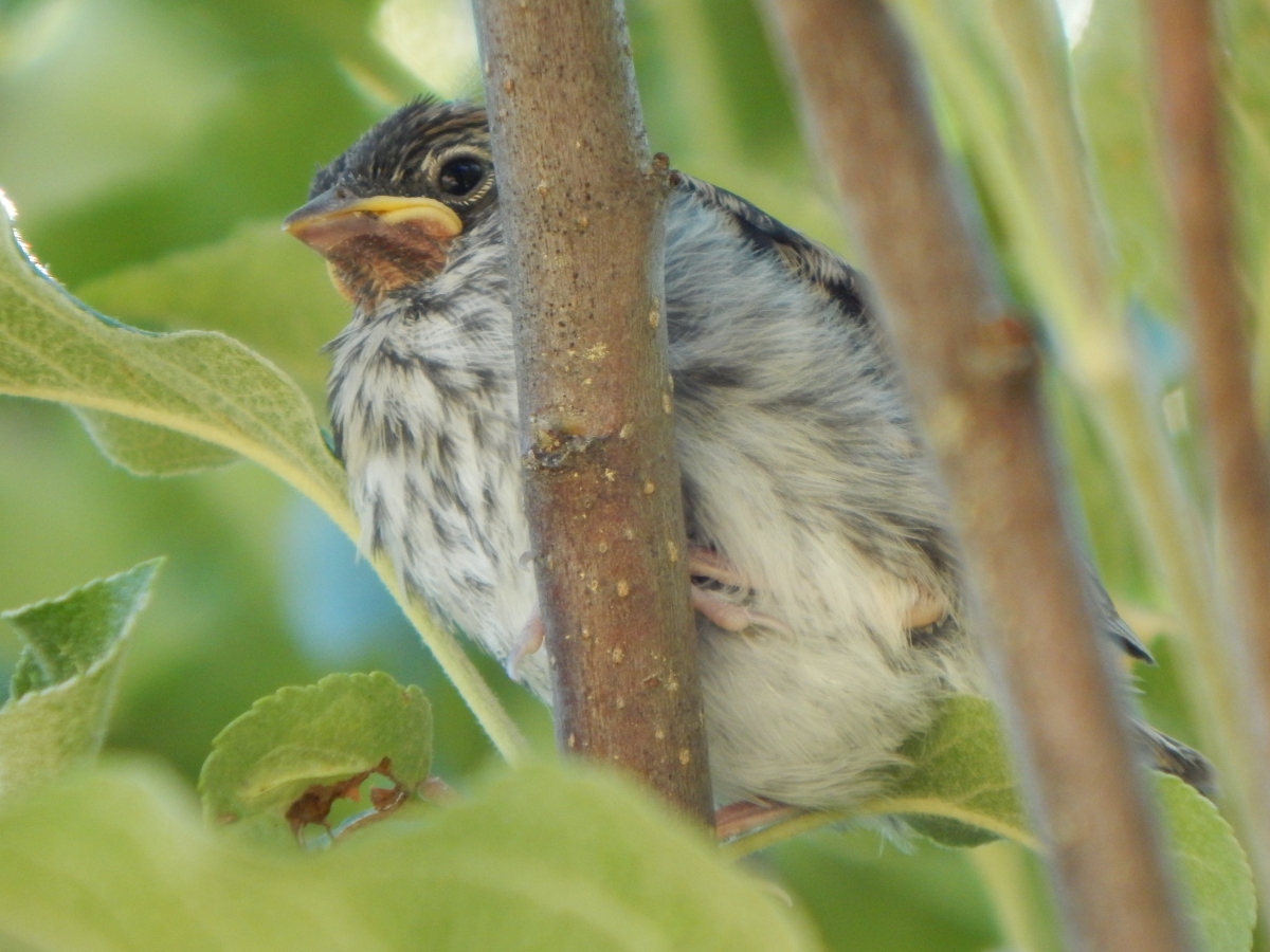 Hope for Anxious Ones — Part 1