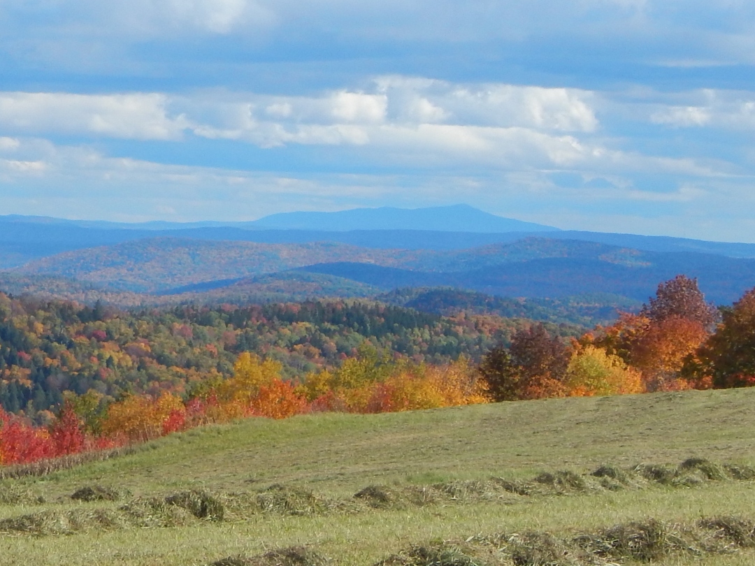 The Maker’s Mighty Wisdom