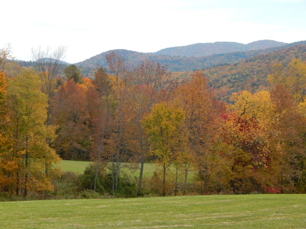 mountains with autumn trees